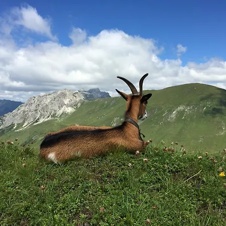 Appartement Bergzeit Eben Im Pongau